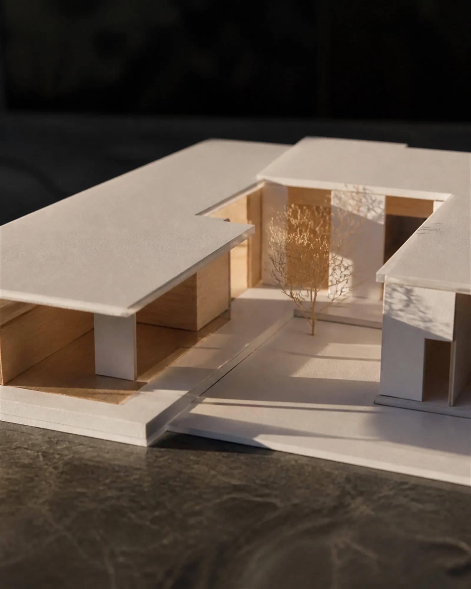 A white card and birch study model of a courtyard villa lit from a low angle