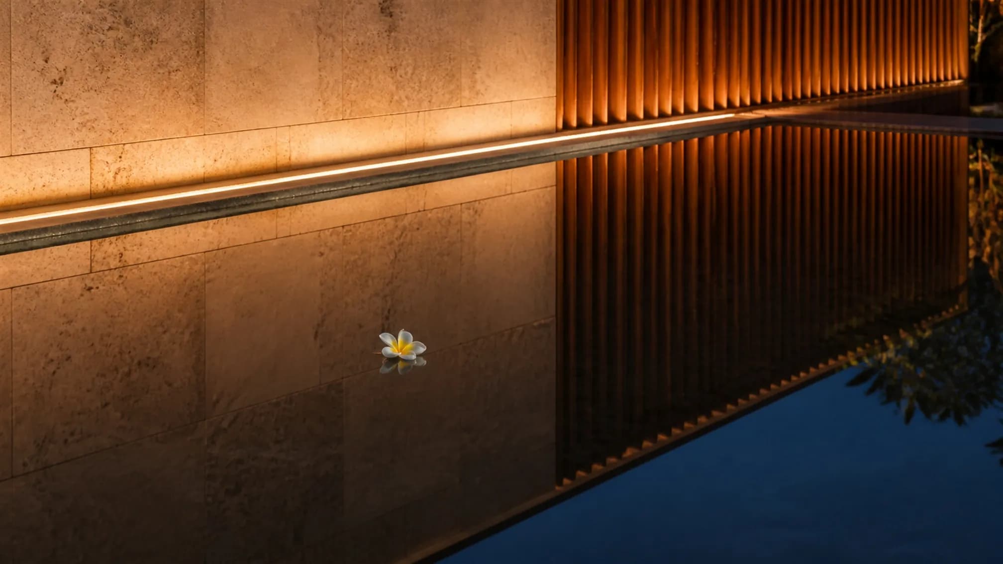 The mirror-flat surface of a dark reflecting pool with a single frangipani flower floating