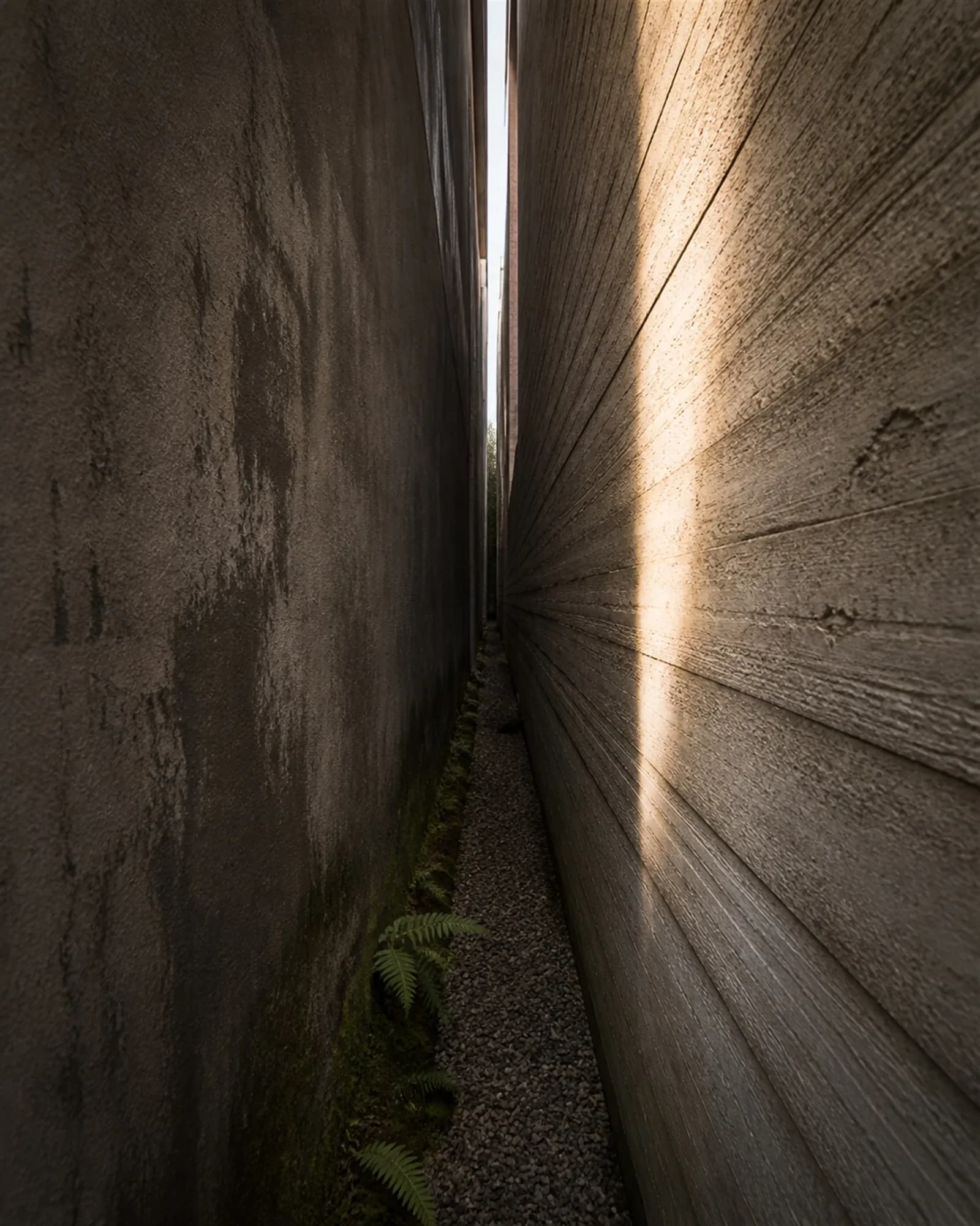 The narrow gap between the house and the boundary wall, a blade of sunlight falling from above onto board-formed concrete